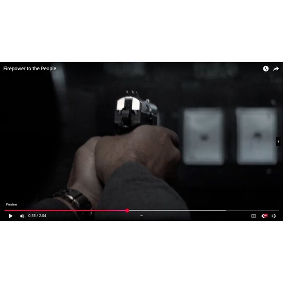 Firepower to the People Democracy Dies Disarmed Documentary DVD Deplorable Films - Picture 6 of 8